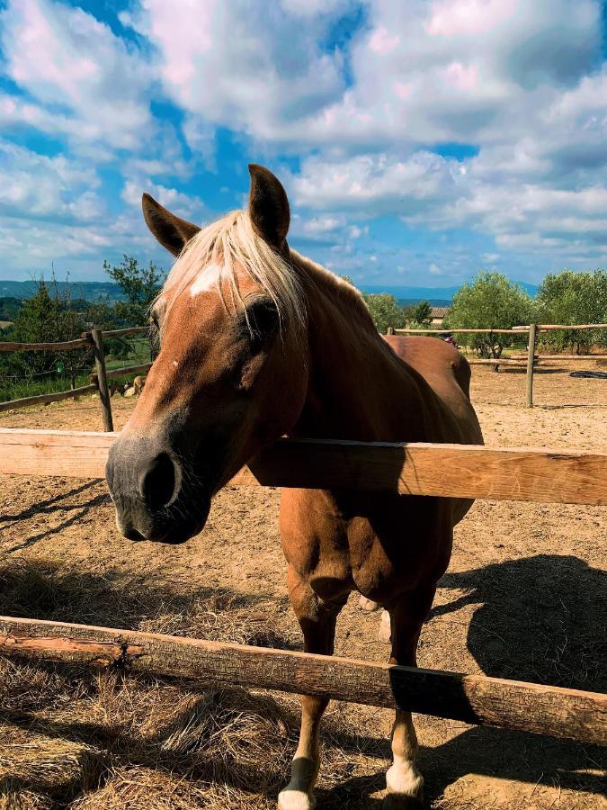 Relais Tenuta Gentili San Liberato Екстер'єр фото
